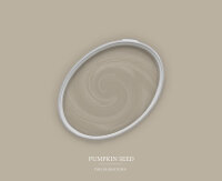 Wandfarbe The Color Kitchen Pumpkin Seed