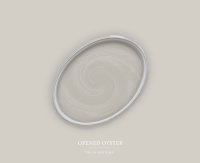 Wandfarbe The Color Kitchen Opened Oyster