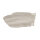 Wandfarbe The Color Kitchen Oyster Mushroom