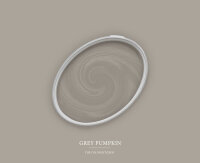Wandfarbe The Color Kitchen Grey Pumpkin