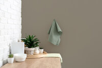 Wandfarbe The Color Kitchen Aesthetic Ajwain
