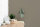 Wandfarbe The Color Kitchen Aesthetic Ajwain