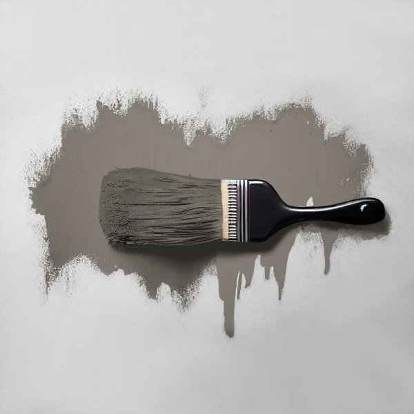 Wandfarbe The Color Kitchen Earl Grey Tea