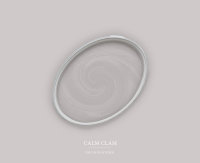 Wandfarbe The Color Kitchen Calm Clam
