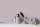 Wandfarbe The Color Kitchen Leafy Lavender