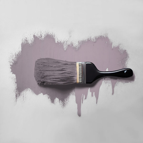 Wandfarbe The Color Kitchen Feminine Fig