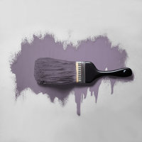 Wandfarbe The Color Kitchen Artful Aubergine