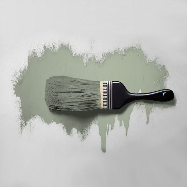 Wandfarbe The Color Kitchen Sane Sage