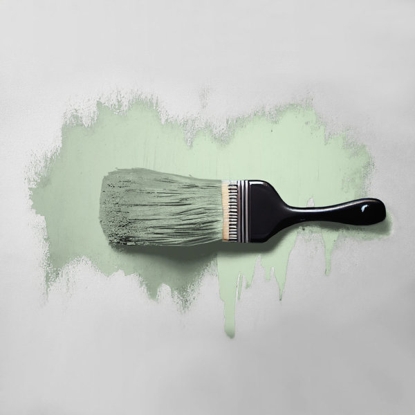 Wandfarbe The Color Kitchen Woodruff Cream