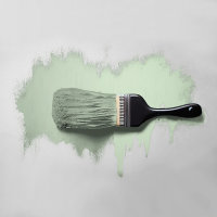 Wandfarbe The Color Kitchen Woodruff Cream