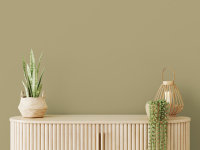 Wandfarbe The Color Kitchen Pretty Pistachio