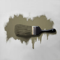 Wandfarbe The Color Kitchen Ordinary Olive
