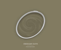 Wandfarbe The Color Kitchen Ordinary Olive