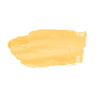 Wandfarbe The Color Kitchen Mighty Mango