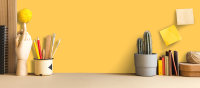 Wandfarbe The Color Kitchen Mighty Mango