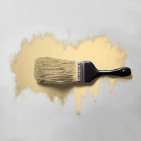 Wandfarbe The Color Kitchen Gentel Ginger