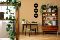 Wandfarbe The Color Kitchen Happy Honey