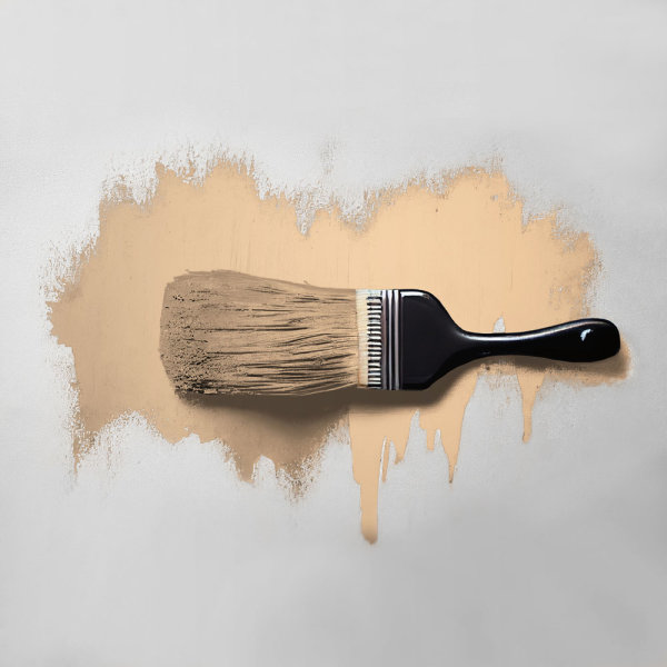 Wandfarbe The Color Kitchen Pithy Pancake