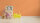 Wandfarbe The Color Kitchen Pure Papaya
