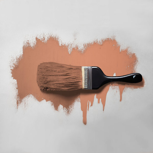 Wandfarbe The Color Kitchen Ruddy Rosehip