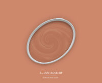 Wandfarbe The Color Kitchen Ruddy Rosehip