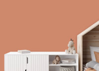 Wandfarbe The Color Kitchen Ruddy Rosehip
