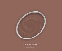 Wandfarbe The Color Kitchen Reddish Chestnut