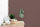 Wandfarbe The Color Kitchen Passion Fruit