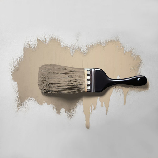 Wandfarbe The Color Kitchen Flat White Coffee