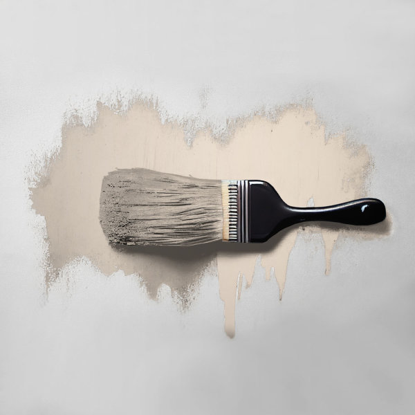 Wandfarbe The Color Kitchen Pure Pampas