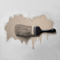 Wandfarbe The Color Kitchen Matte Mushroom