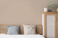 Wandfarbe The Color Kitchen Matte Mushroom