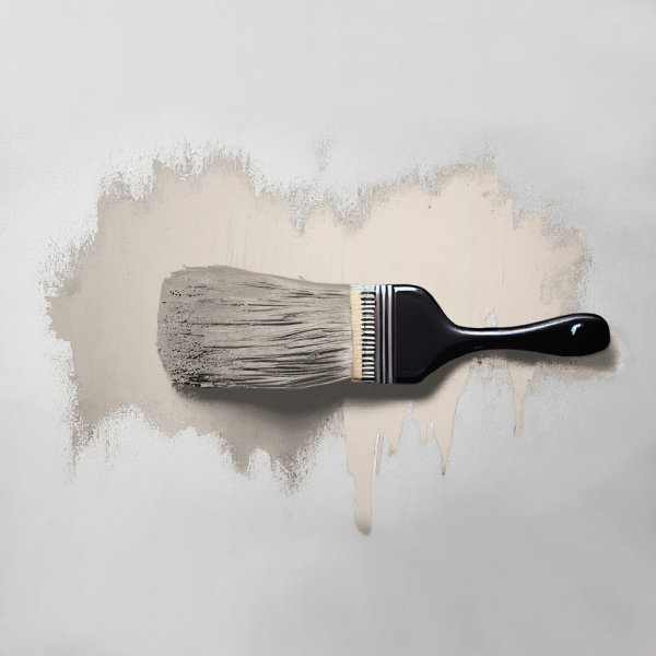 Wandfarbe The Color Kitchen Pure Potato