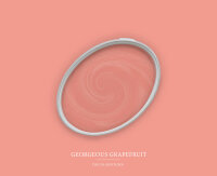 Wandfarbe The Color Kitchen Georgeous Grapefruit