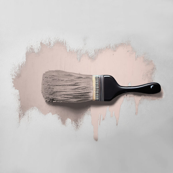 Wandfarbe The Color Kitchen Sweet Strawberry