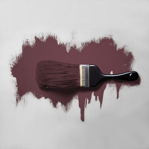 Wandfarbe The Color Kitchen Red Wine