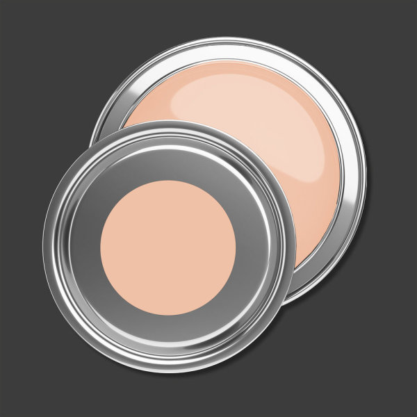 Wandfarbe PURO diverse apricot