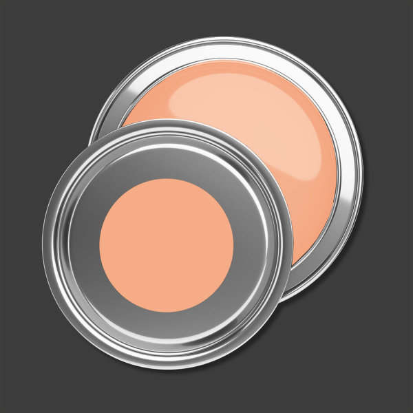 Wandfarbe PURO diverse apricot 2,5 Liter