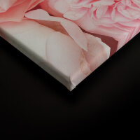 Leinwandbild Roses Blumen 90cm x 60 cm