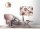 Leinwandbild FlowerBouquet2 Blumen 90cm x 60 cm