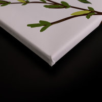 Leinwandbild LittleBirds Blumen 90cm x 60 cm