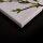 Leinwandbild LittleBirds Blumen 90cm x 60 cm