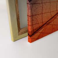 Leinwandbild LimpidLeaf1 Natur 90cm x 60 cm