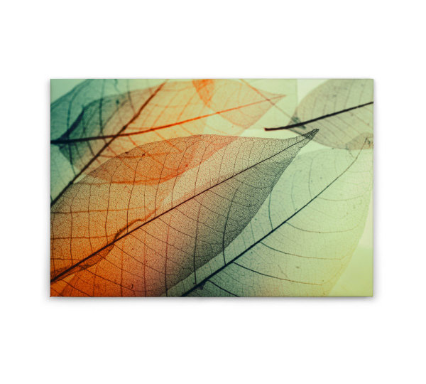 Leinwandbild LimpidLeaf2 Natur 90cm x 60 cm