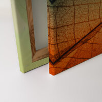 Leinwandbild LimpidLeaf2 Natur 90cm x 60 cm