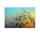 Leinwandbild FlyingDandelion1 Pusteblume 90cm x 60 cm
