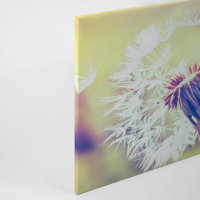Leinwandbild Dandelion2 Pusteblume 90cm x 60 cm