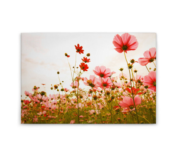 Leinwandbild FlowerMeadow1 Blumen 90cm x 60 cm