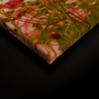 Leinwandbild FlowerMeadow1 Blumen 90cm x 60 cm