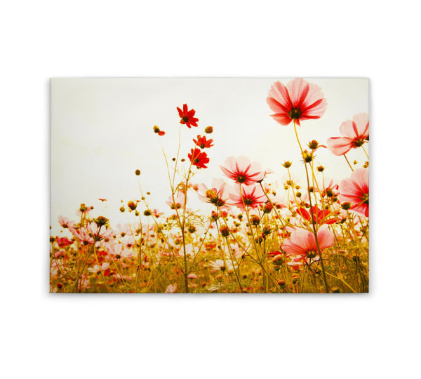 Leinwandbild FlowerMeadow2 Blumen 90cm x 60 cm